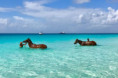 /album/fotky-barbados/barbados-jamajkanita-53-jpg/